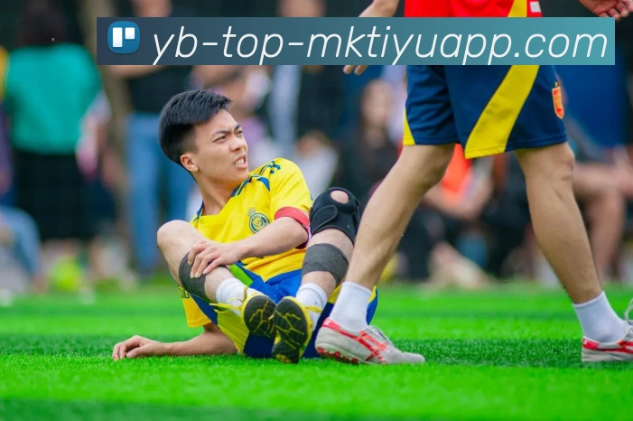 MK体育APP 封面图